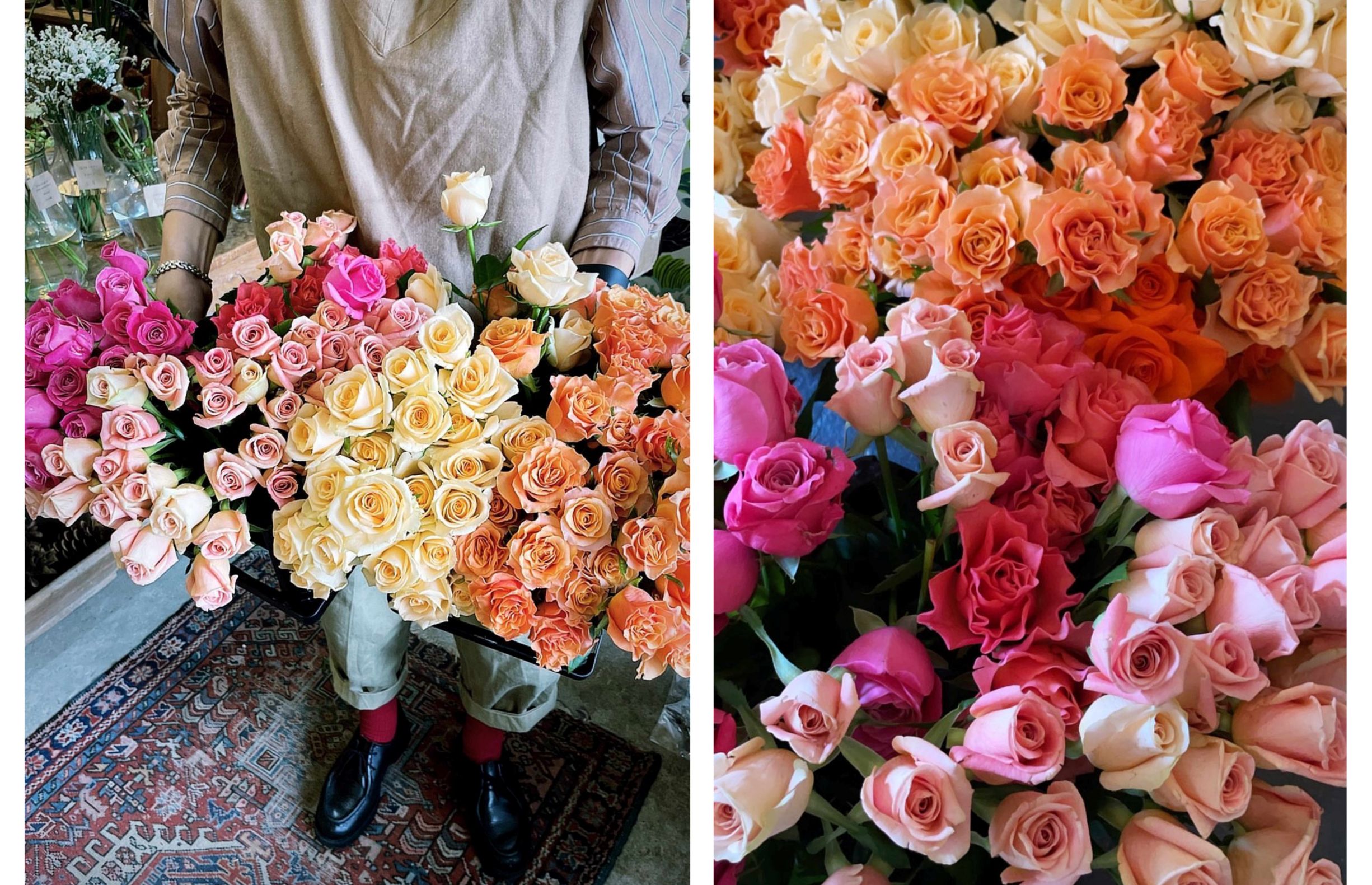 ロスフラワーのイメージ